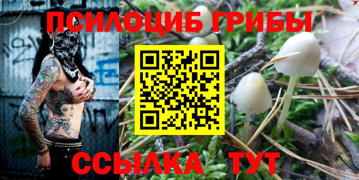 Жигулёвск  Галлюциногенные грибы GOLDEN TEACHER  Вход с VPN 